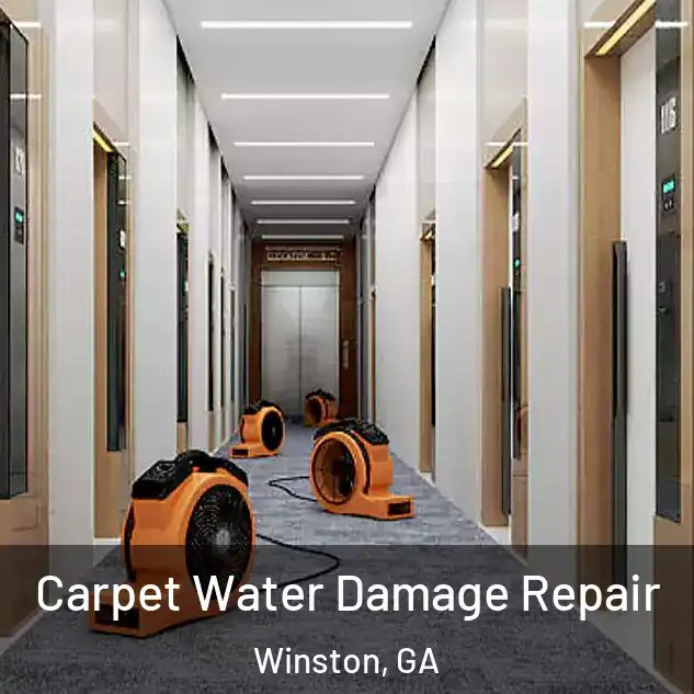  Carpet Water Damage Repair Winston, GA