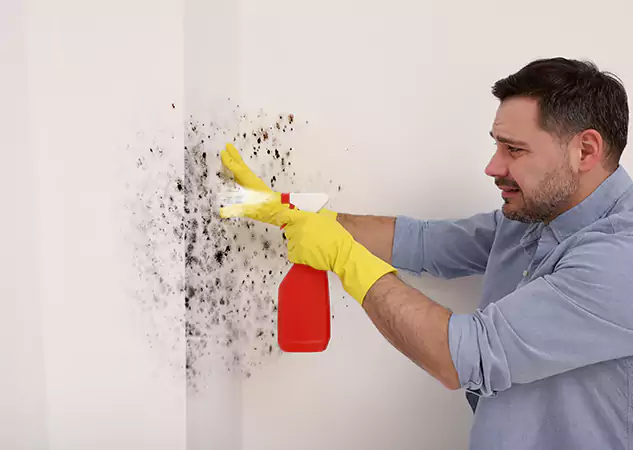 Your Water Mold Fire Restoration Partner in Winston, GA