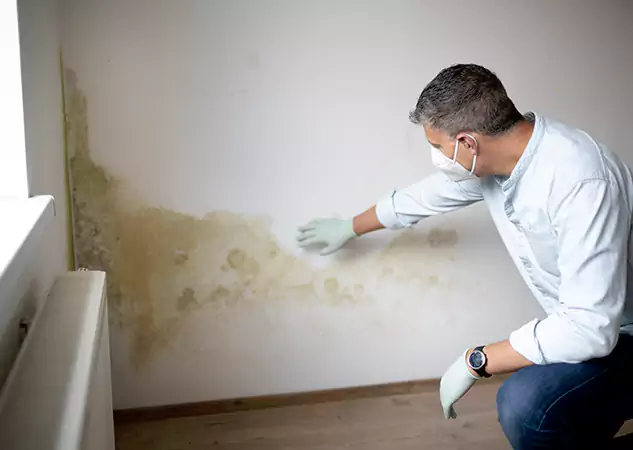 Reach Our Remediation Team Before Damage Grows in Winston, GA!