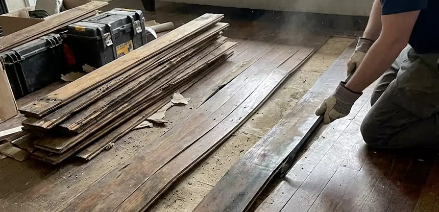 Wood Rot and Fungus Repair in Winston