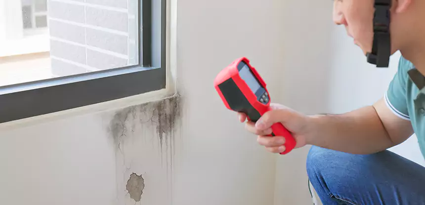 Wall Texture Repair After Mold in Winston