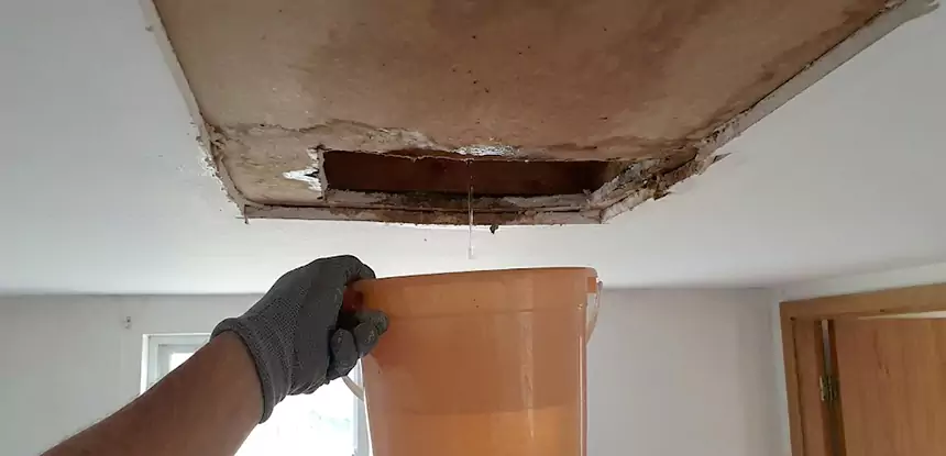 Ceiling Mold Repair Winston 