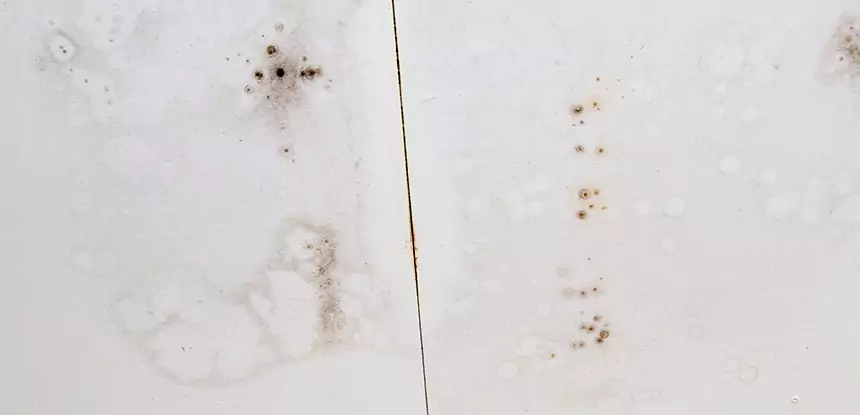 Professional Water Stain Repair Services in Winston, GA