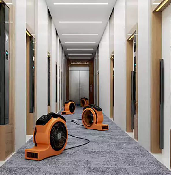 Why Winston Trusts Winston Restoration Pro?