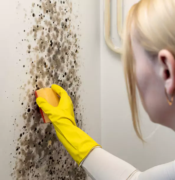 Why Winston Restoration Pro Leads Mold Remediation in Winston?