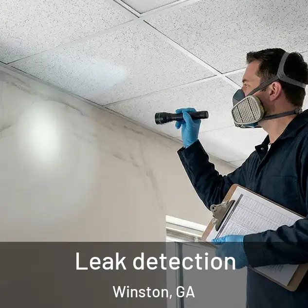  Leak detection Winston, GA