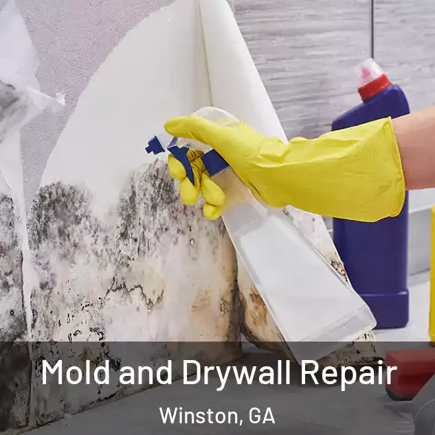  Mold and Drywall Repair Winston, GA