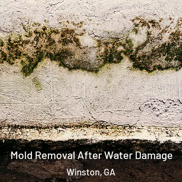  Mold Removal After Water Damage Winston, GA
