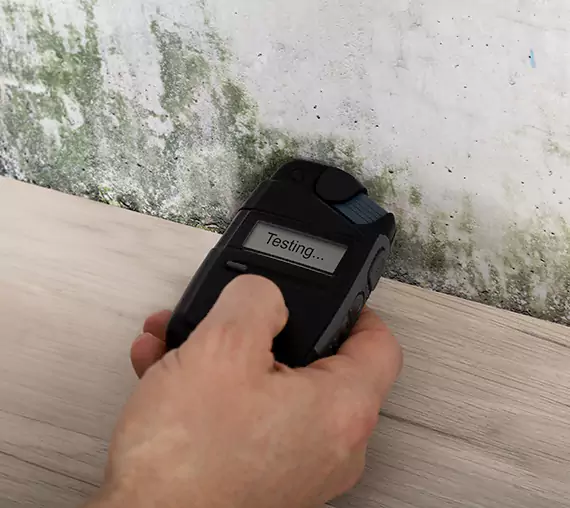 Mold Remediation Service Winston