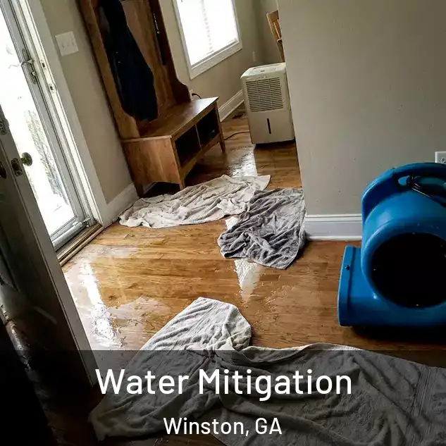  Water Mitigation Winston, GA