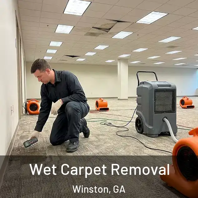  Wet Carpet Removal Winston, GA